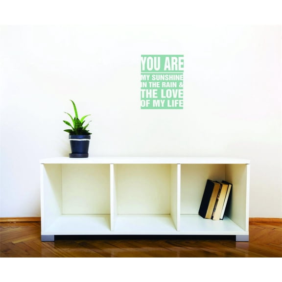 New Wall Ideas You Are My Sunshine In The Rain And The Love Of My Life Quote 20 X 40"