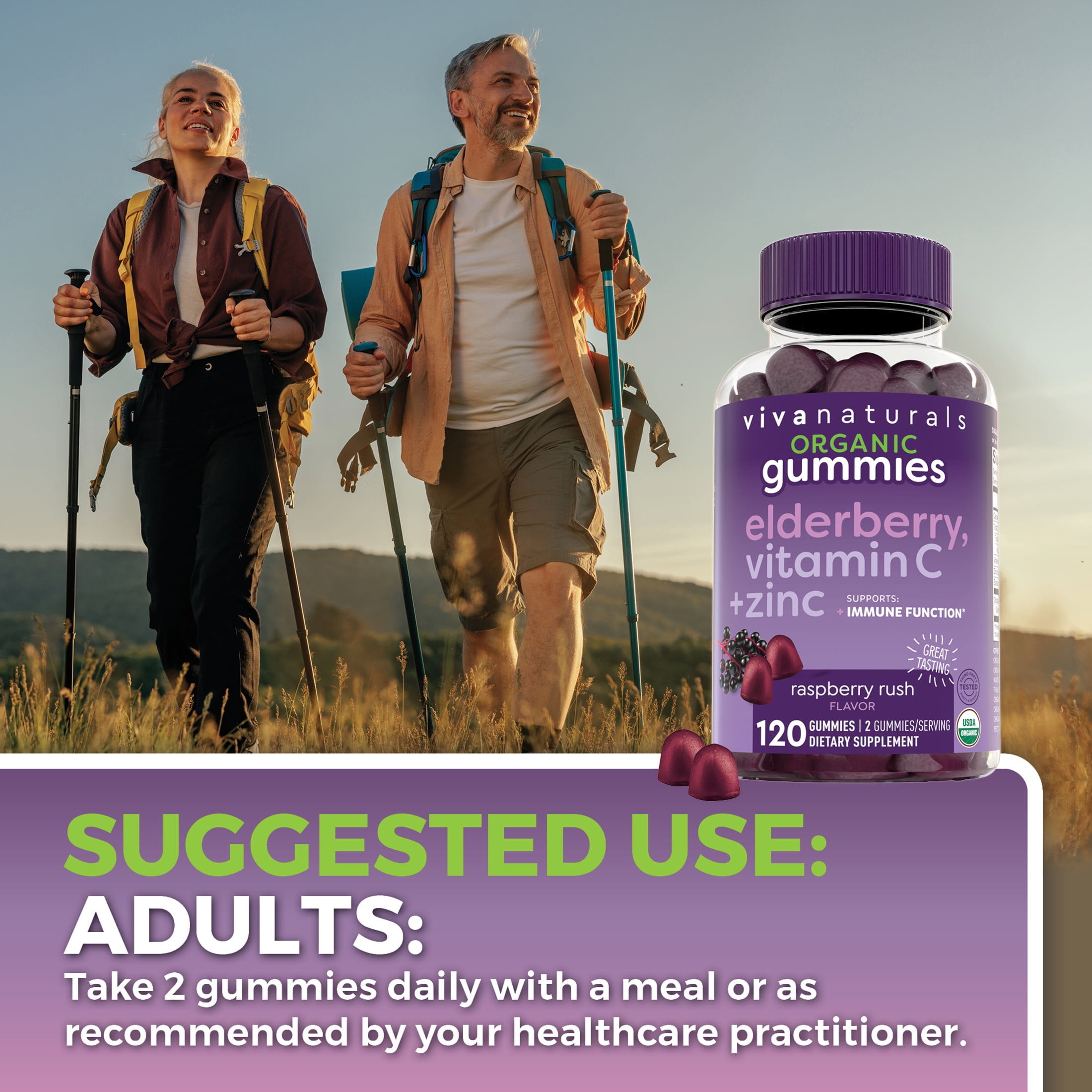 Viva Naturals Organic Elderberry, Vitamin C + Zinc Gummies, Raspberry Rush Flavor, 120 Gummies
