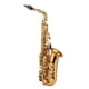 thumbnail image 1 of Muslady Muslady Golden Eb Alto Saxofón Sax, 1 of 8
