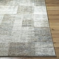 thumbnail image 3 of Hauteloom Xhosa Living Room, Bedroom Area Rug - Contemporary - High Pile - Peach, Light Gray, Gray - 2' x 2'11", 3 of 6