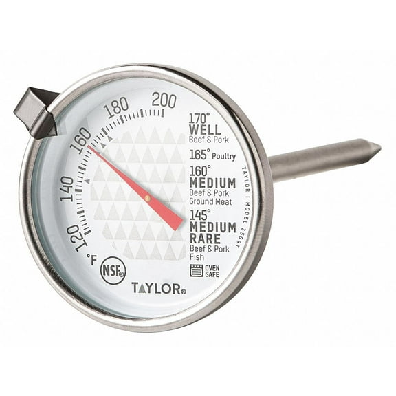 Taylor Oven Thermometer,Analog,100 to 600 F  350610D