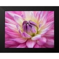 thumbnail image 2 of Frank, Assaf 24x19 Black Modern Framed Museum Art Print Titled - Dahlia flowers, 2 of 5