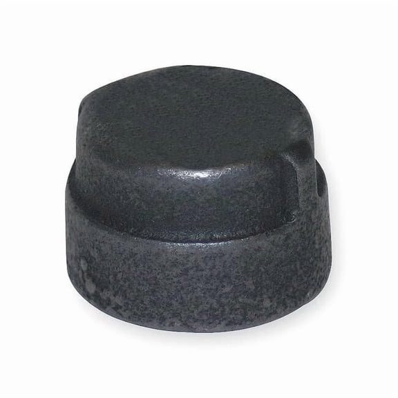 Manufacturer Varies Cap Cap, 1/4" Pipe, FNPT, Malleable Iron, 300 1LBZ4