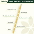 thumbnail image 5 of FREEGRIN 12 Pack Natural Miswak Sticks, Organic Wooden Miswak Toothbrush for Healthy Gums & Fresher Breath, No Toothpaste Required, Mint Flavor, 5 of 12