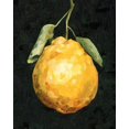 thumbnail image 2 of Caroline, Emma 26x32 Gold Ornate Wood Framed with Double Matting Museum Art Print Titled - Dark Lemon II, 2 of 4