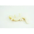 thumbnail image 4 of Gecko, Hand Painted, Reptiles, Educational, Museum Quality, Very Nice Rubber Reptile, Realistic Asian Gecko, Diorama, Toys, Kids, Gift, 4 Inches. CH866 BB199, 4 of 8