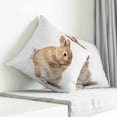 thumbnail image 4 of Throw Pillow Covers 18x18 Inch, Funny Bunny Decorative Pillow Cases for Couch Sofa Bed, Cute Art Fun Lovely Animals on Toilets Cotton Linen Square Home Decor Pillowcases with Hidden Zipper, 4 of 7