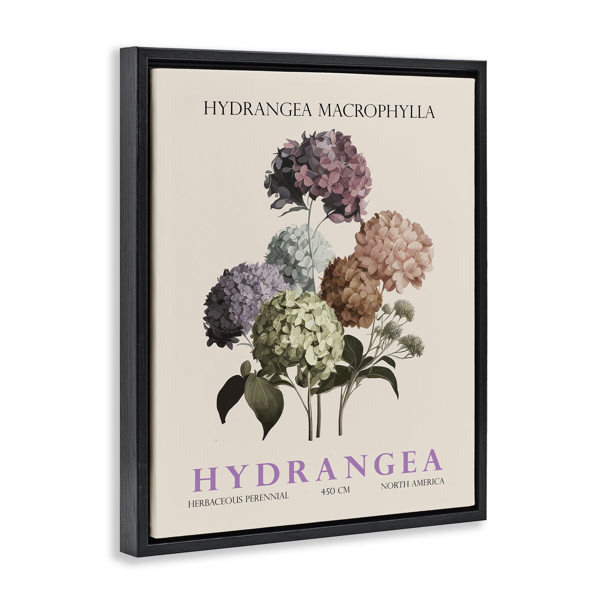 Stupell Industries Nature Hydrangea Bundle Black Framed Floater Canvas Wall Art, design by Christopher Giampietro