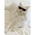 thumbnail image 1 of Pet Cat Sunglasses Rectangular Plastic Glasses Cat Eye Protection, 1 of 3