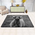 thumbnail image 2 of SKYSONIC Highland Cattle Funny Non-Slip Area Rug, Scottish Cow Animal Floor Carpet Comfort Floor Mats Decor for Indoor Front Porch Living Room Bedroom Kitchen, 36"x24", 2 of 5