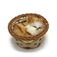 thumbnail image 5 of Coolayoung 2 Piezas Gato Durmiendo En Cesta Muñeca Juguete Mini Gatito En Cesta Tejida Con Sonidos De Maullidos Decoración Para Escritorio De Oficina Juguete De Mano Regalo Para Niños Niñas, 5 of 5