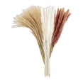 thumbnail image 1 of 60Pcs Large Dried Pampas Grass for Vase Wedding Gift Reed Flowers Party Home Zulema hierba de pampa seca, 1 of 8