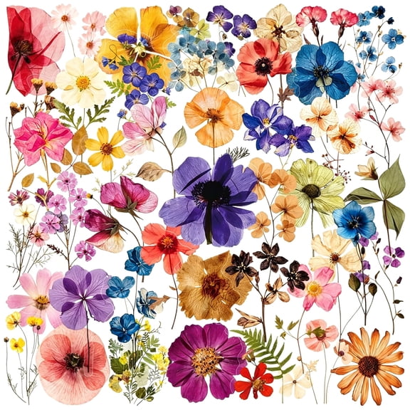 CCOCC 50Pcs Transparent Flora Scrapbook Stickers Pack,Vintage Aesthetic Flowers Stickers for Scrapbook Journal,Waterproof for Water Bottles Laptop Phone Scrapbook Supplies DIY Crafts(Colorful)