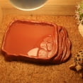 thumbnail image 6 of Natural Design Reptiles Water Dish Feeding Bowl For Turtles Lizards Small Pet, 6 of 8
