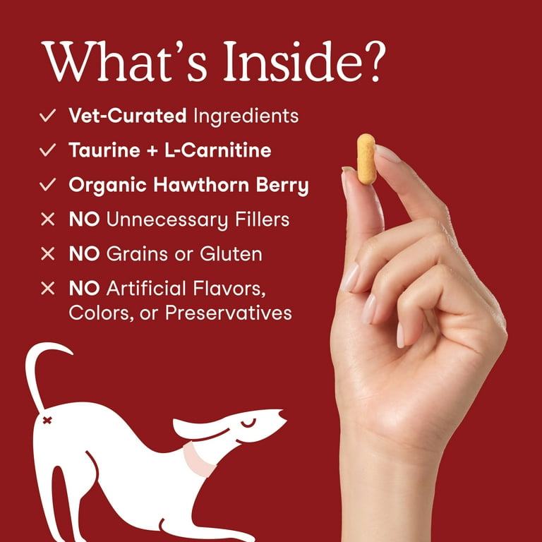 l carnitine dog dosage Cardiac Support for Dogs and Cats – Fera Pets main image 0