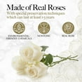 thumbnail image 2 of GLAMOUR BOUTIQUE 16-Piece Forever Flowers Heart Shape Box - Preserved Roses, Immortal Roses That Last A Year - Eternal Rose Preserved Flowers for Delivery Prime Mothers Day & Valentines Day - White, 2 of 9