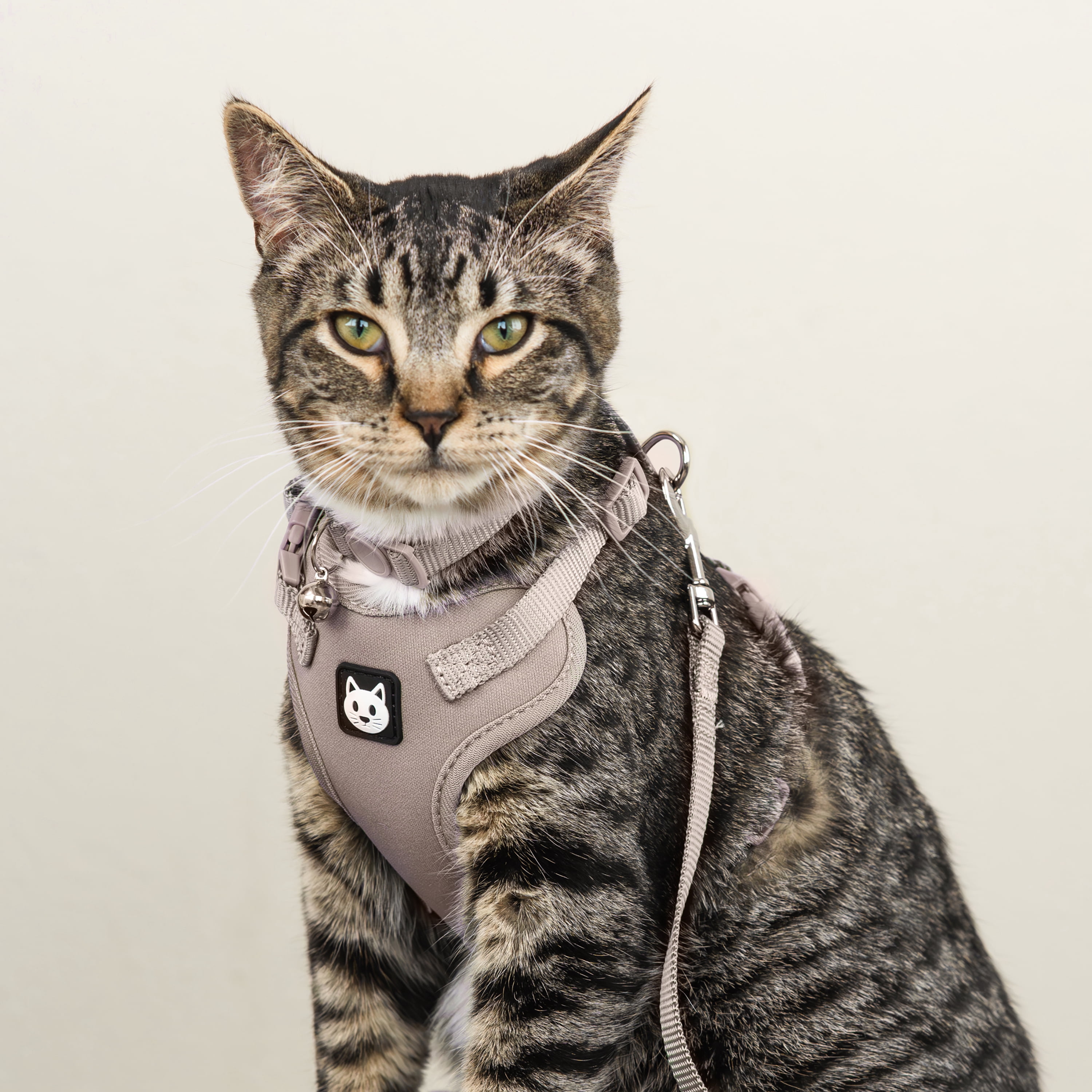 Vibrant Life Polyester Comfort Cat Harness and Leash Set, Tan, One Size