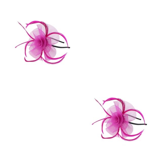 Shengyu 1/2/3/5 Maille Fascinator Femmes Coiffe Longue Durée Accessoires de Photographie Maquillage Réglable Scène Cosplay Fille Bande de Cheveux Rose Rouge 2PCS