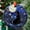 Moonlit Bloom Black1735, variant on Radiant Sunset Hummingbird Suncatcher Ornament Window Hangings Sun Catchers Colorful Gifts for Women Mom Wife Halloween Christmas Housewarming, 2025, Holiday Decoration, Seasonal