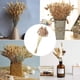 thumbnail image 2 of 30pcs-Cola hierba cola de perro grass-10pcs+20pcs Ormromra LL-2109, 2 of 6