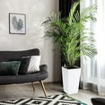 thumbnail image 2 of Rectangular Planters Set of 2 Large Modern Plant Pots with Drainage Holes＆Water Level Monitor＆Wheels Outdoor and Indoor for Patio, Porch, Living Room, or Home Office, 2 of 9