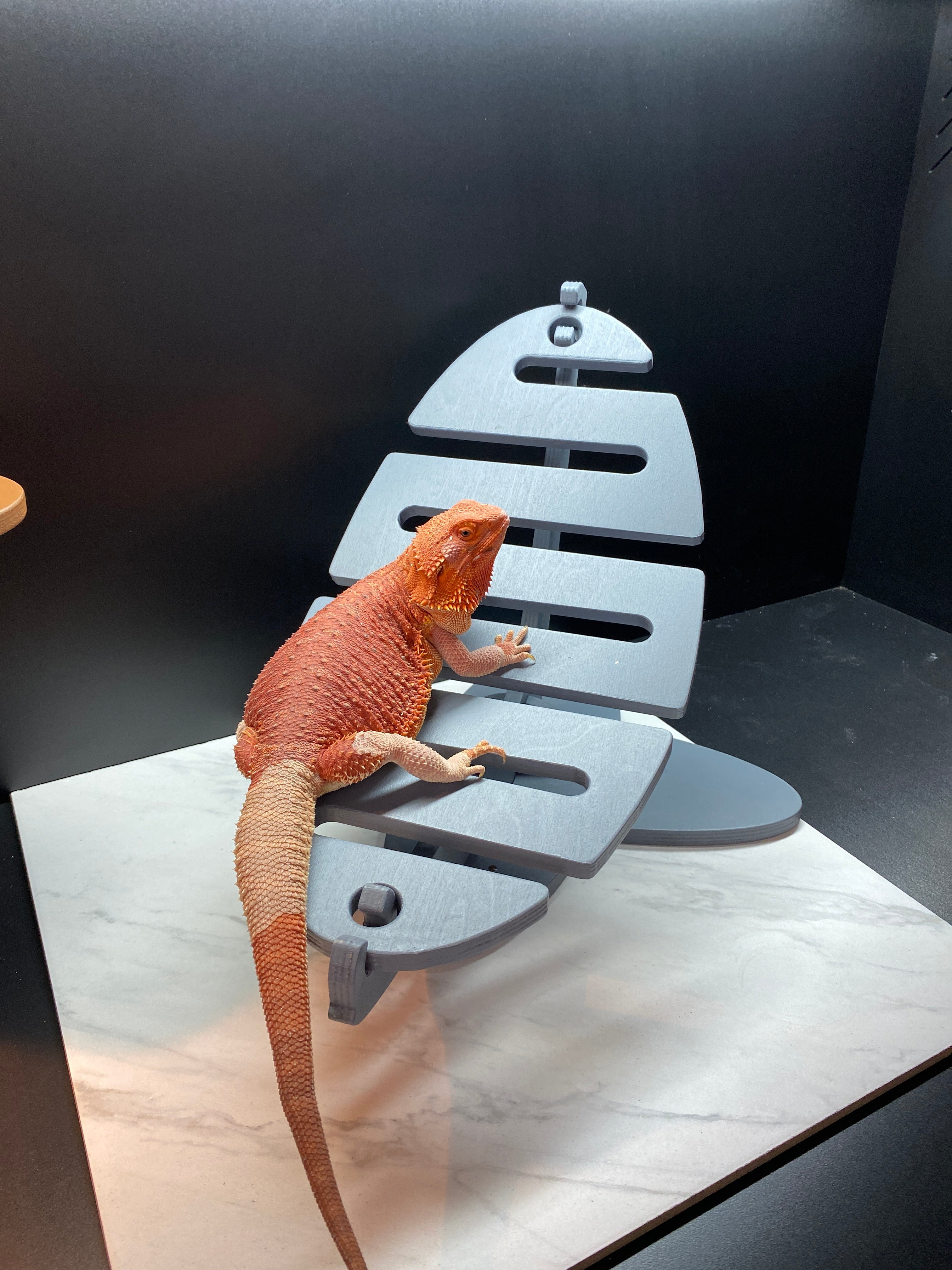 Wooden Hammock for Pet Reptiles