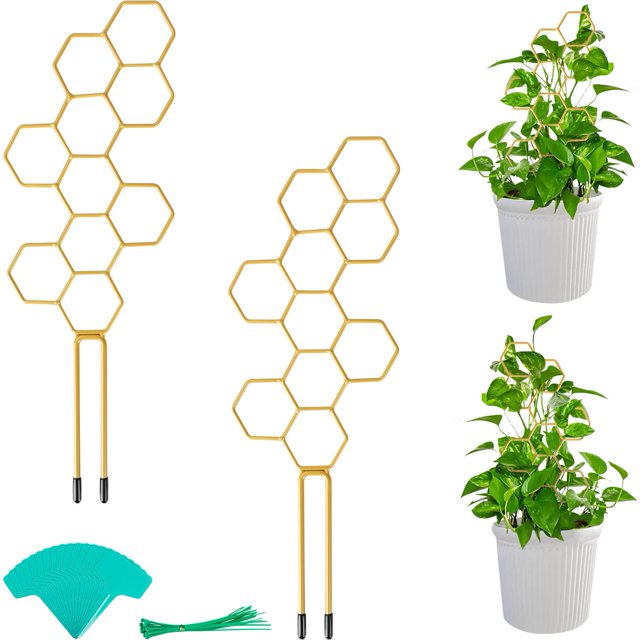 2 enrejados para plantas pequeñas de 14 pulgadas para plantas trepadoras, enrejados de metal en forma de panal con 20 bridas para cables, 15 plantas, dorados