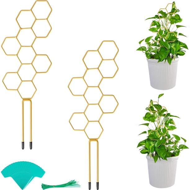 2 enrejados para plantas pequeñas de 14 pulgadas para plantas trepadoras, enrejados de metal en forma de panal con 20 bridas para cables, 15 plantas, dorados
