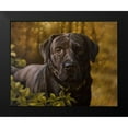 thumbnail image 2 of Silver, John 14x12 Black Modern Framed Museum Art Print Titled - 19, 2 of 5