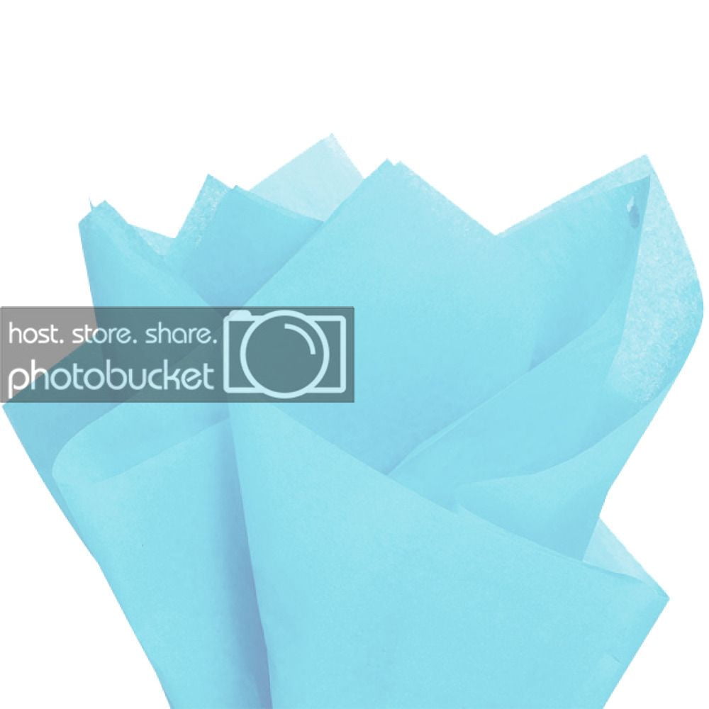 JAM Gift Bag Assortment, 2 Red Bags & Baby Blue Tissue Paper, 3/Pack