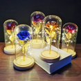 thumbnail image 3 of POINTERTECK LED Rose Flower In Glass Dome with Lights Infinity Crystal Rose Flower Enchanted Glass Rose Best Gift B, 3 of 6