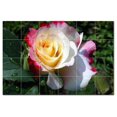 thumbnail image 1 of Flower Picture Ceramic Tile Mural Kitchen Backsplash Bathroom Shower, 404948-S64, 1 of 3