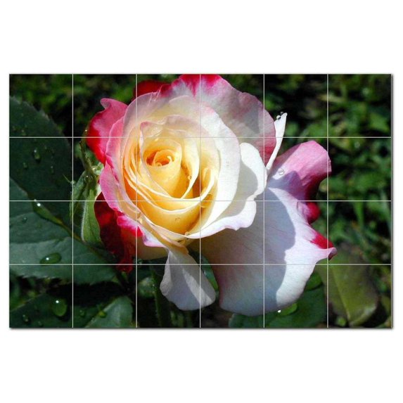Flower Picture Ceramic Tile Mural Kitchen Backsplash Bathroom Shower, 404948-S64