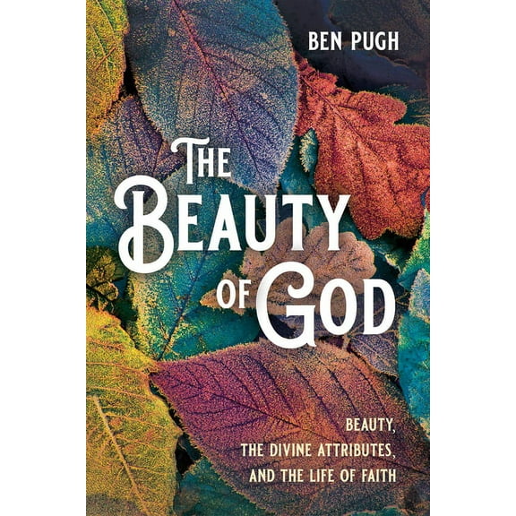 The Beauty of God (Hardcover)