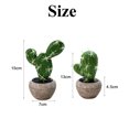 thumbnail image 2 of 2pcs Artificial Succulent Plants, Cute Fake Plants Faux Succulents, Mini Succulents Plants Artificial Potted Plants, Office Decor for Women for Desk Decor Bathroom Decor Aesthetic - type:style3, 2 of 6