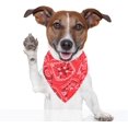 thumbnail image 3 of Fashion Dogs Bandana Bufandas ajustables para cachorros, perros pequeños y gatos (rojo) ER, 3 of 3