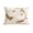 D004- D, variant on Embroidered Pillow, Vintage Pumpkin Print Style, Halloween Home Decor Indoor for Dining Room Patio, Holiday Present for Family Friends, Breathable Canvas Material, 18X18 In, 1Pcs
