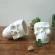 thumbnail image 2 of 2 macetas pequeñas de cerámica con forma de calavera para suculentas, cactus, decoración para el hogar y la oficina (blancas), 2 of 5