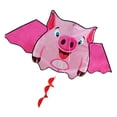 thumbnail image 1 of Cometa grande de cola de 1,6 m, fácil de volar, cometa de viento, cometa de vuelo colorida para niños y niñas Tmvgtek libre de BPA, 1 of 8