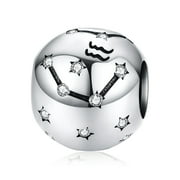 NINGAN Aquarius Zodiac Sign Birthday Charms - 925 Sterling Silver Charms Fits Women's Charm Bracelet & Necklace - Ideal Birthday Gifts for Girls & Friends