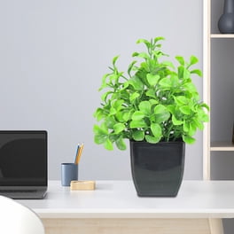 Plastique Réaliste Décoration 6 Petites Plantes Artificielles Vertes - 6.5x6.5x20cm, Plastique, Pour Décoration Intérieure - Bureau, Salle De Bain, Cuisine, Chambre