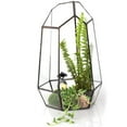 thumbnail image 3 of Terrario geométrico de cristal transparente para suculentas, maceta de mesa, bricolaje D 3.94 x 3.94 x 5.9 pulgadas, 3 of 9