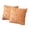Khaki, variant on Pumpkin Fall Decorative Throw Pillow Covers, 18x18" Set of 2 Soft Pillow Covers for Autumn Harvest, Fluffy Plush Accent Pillow Cases for Sofa Bedroom Living Room Home Farmhouse Halloween Decor