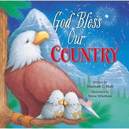 Pre-Owned God Bless Our Country (Board book) 0718040171 9780718040178