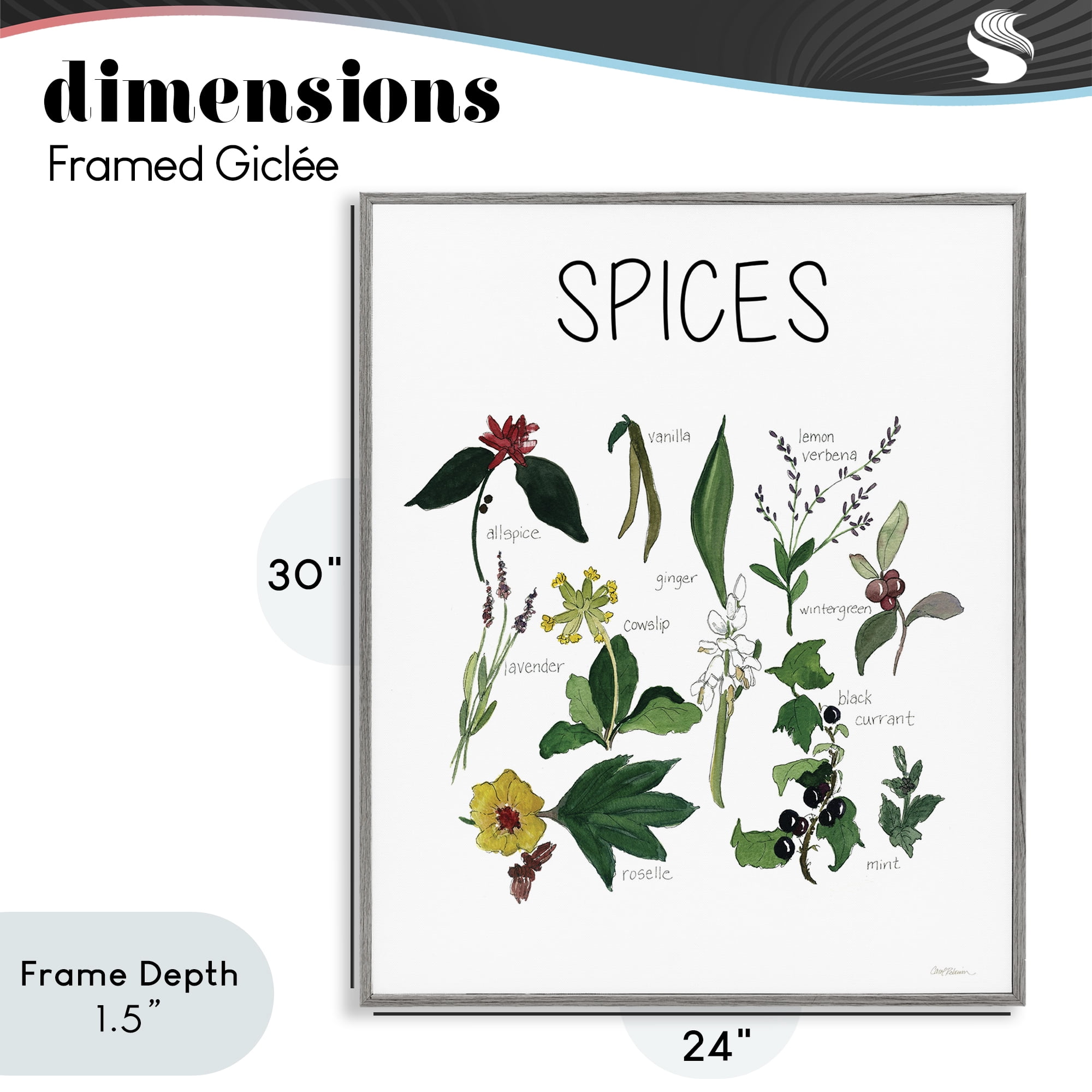 Stupell Industries Spices Identification Chart Gray Framed Giclee Art, design by Carol Robinson