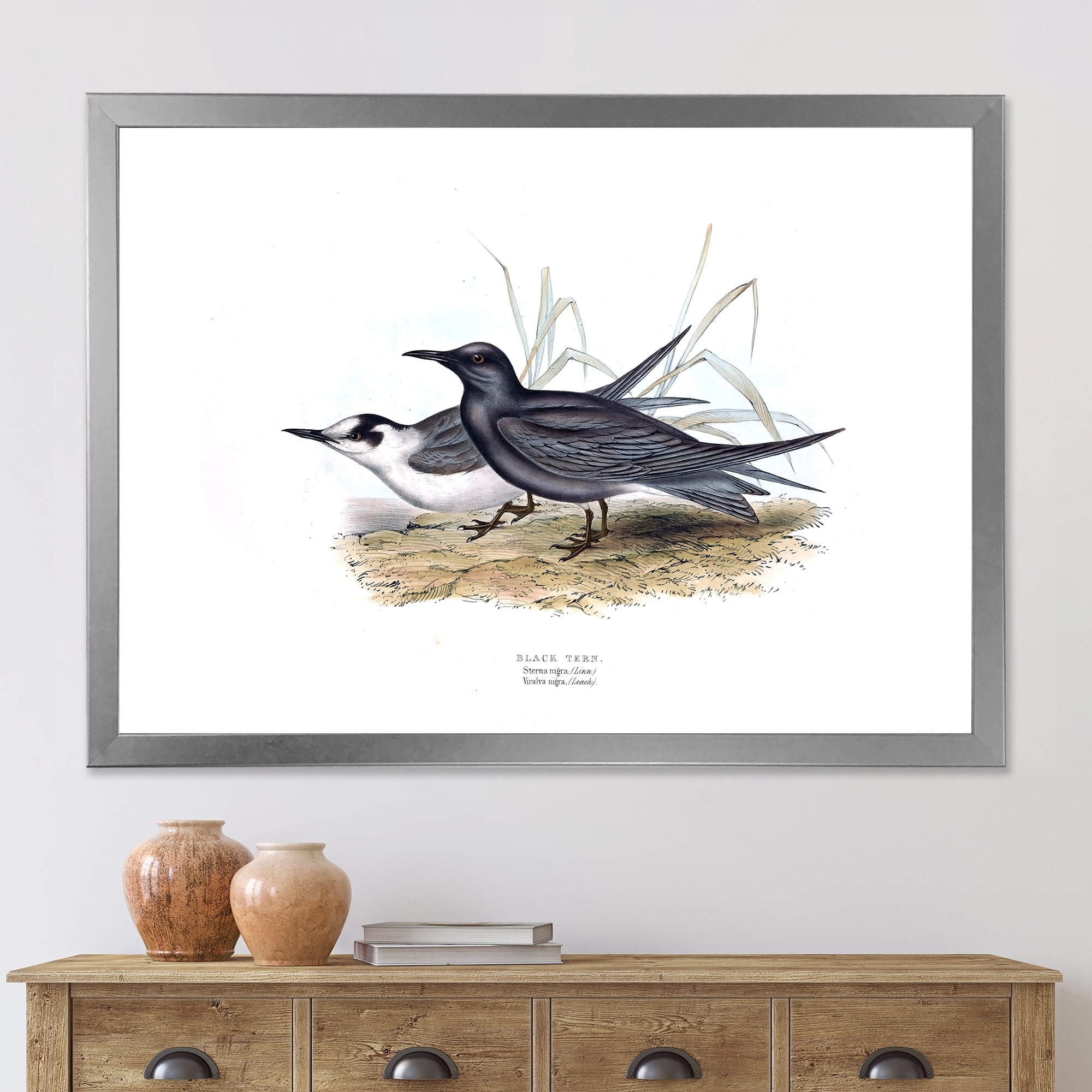 Designart 'Ancient Bird Of Europe II' Traditional Framed Art Print