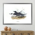 thumbnail image 3 of Designart 'Ancient Bird Of Europe II' Traditional Framed Art Print, 3 of 4