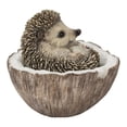 thumbnail image 2 of Coconut Hedgehog, 2 of 2