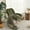 Green, variant on Homy Casa Red Upholstered Rocking Chair for Nursery, Bedroom, Lounge, Reading Nook