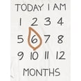 thumbnail image 4 of Modern Moments by Gerber Baby Boy Milestone Blanket & Frame Set, 2-Piece, Ivory Safari, 4 of 7